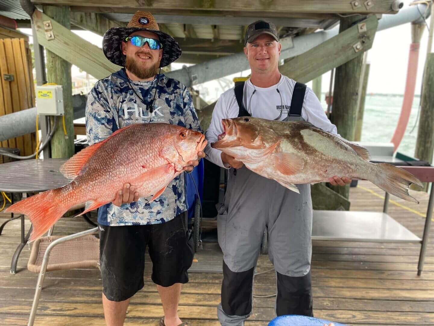Massive Red Snappers